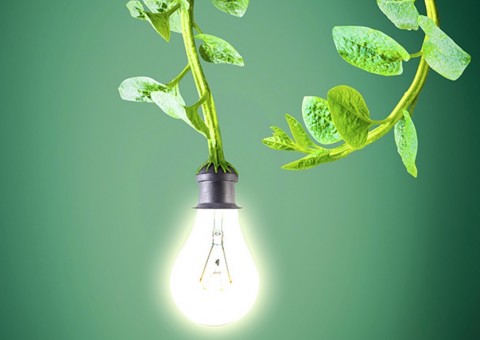 Programa Luz para todos chega a mais uma comunidade de Coari 