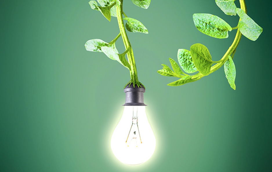 Programa Luz para todos chega a mais uma comunidade de Coari 