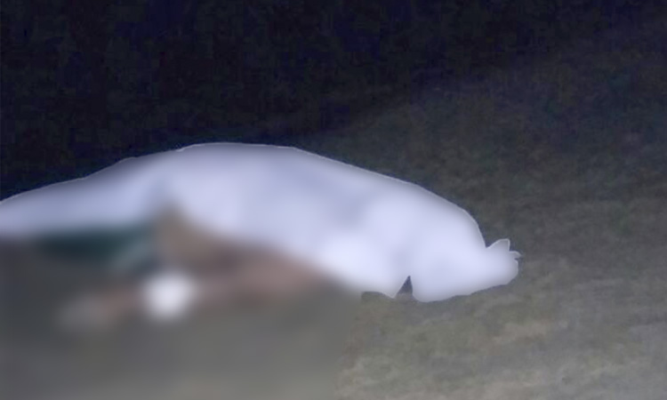 Em horário proibido, homem entra em rio e morre afogado na Ponta Negra