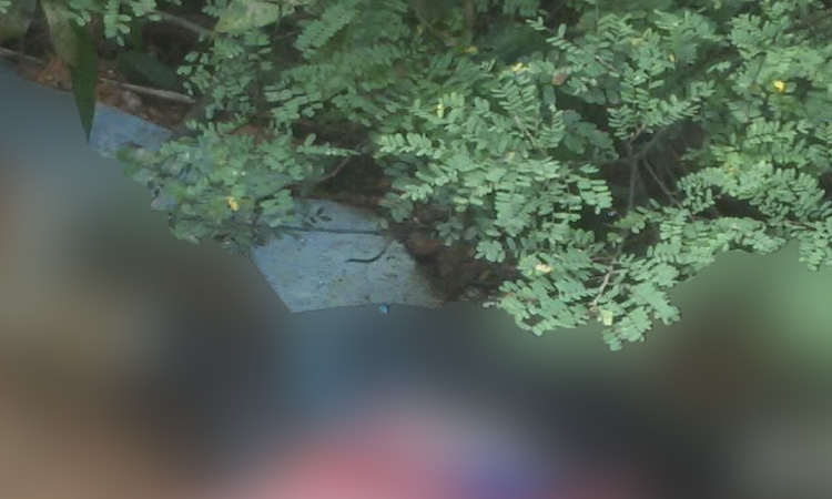 Homem é encontrado em estado de decomposição em estrada no Amazonas