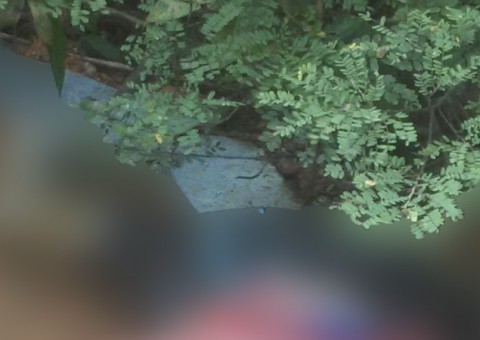 Homem é encontrado em estado de decomposição em estrada no Amazonas