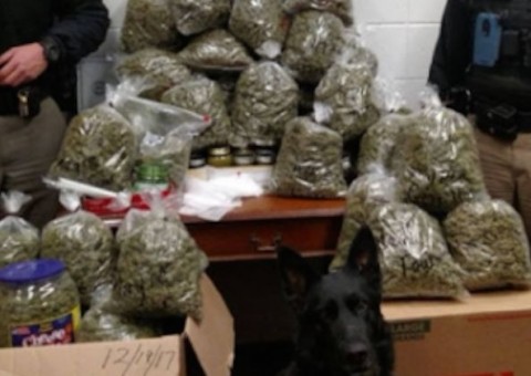 Casal de idosos diz que 27 quilos de maconha eram presentes de Natal