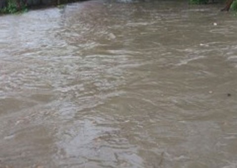 Comemorando Natal, homem desaparece após cair em igarapé de Manaus