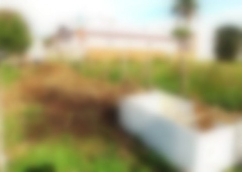 Corpo de jovem desaparecida é encontrado dentro de geladeira abandonada em estrada