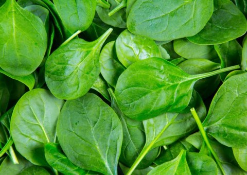 Saiba como consumir o espinafre e aproveitar todo seu poder de nutrição 