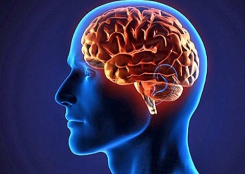 19 hábitos que acabam com a saúde do seu cérebro