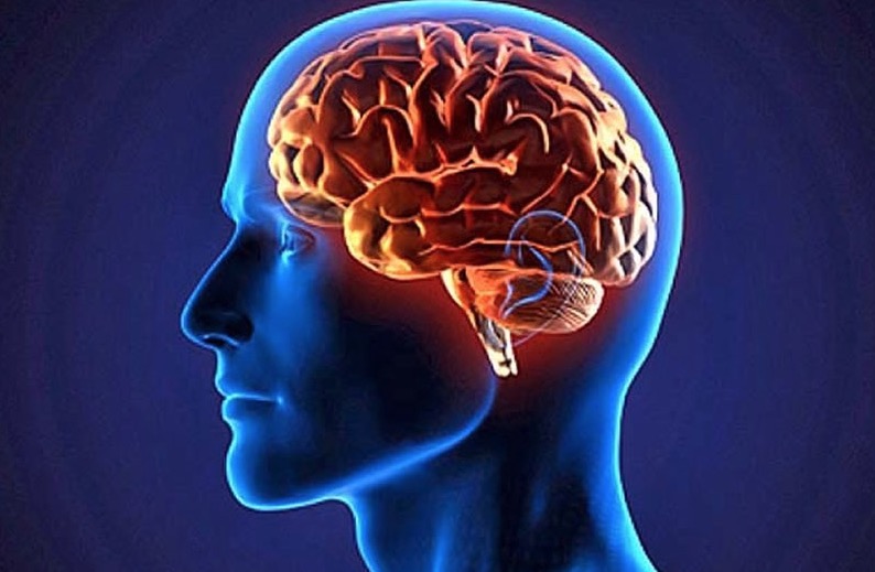 19 hábitos que acabam com a saúde do seu cérebro