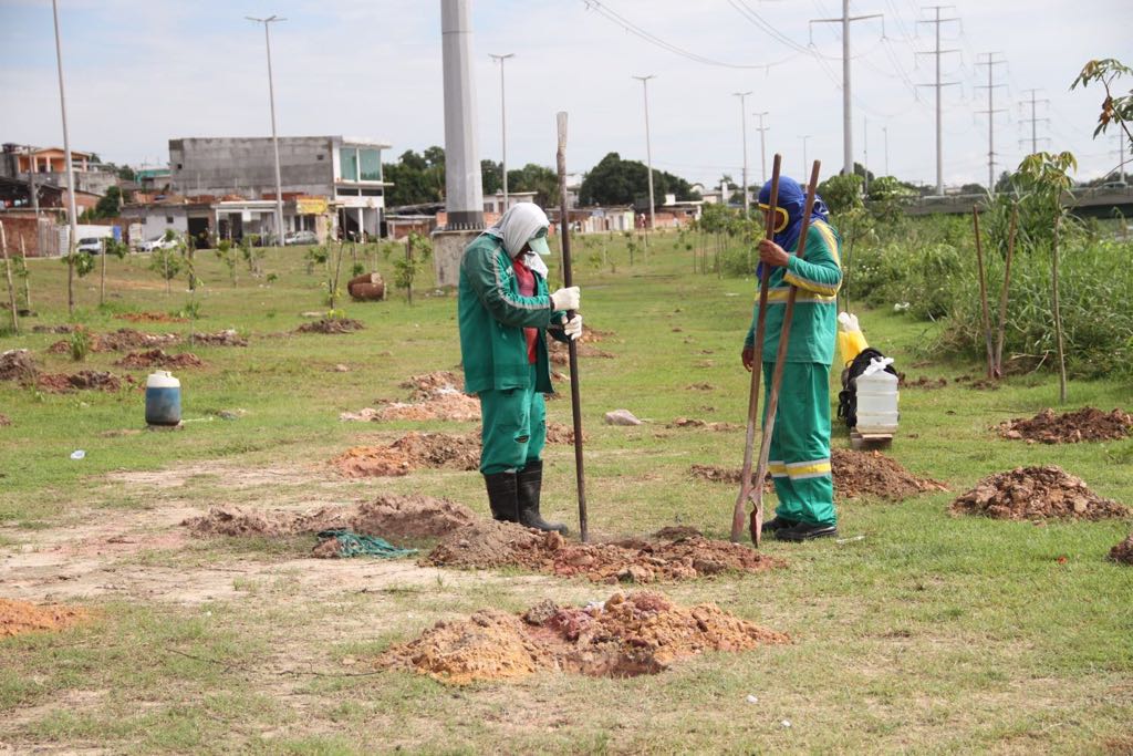 Plantio de mudas marca conclusão do reflorestamento do Corredor Ecológico do Mindu
