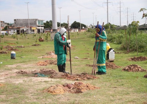  Plantio de mudas marca conclusão do reflorestamento do Corredor Ecológico do Mindu