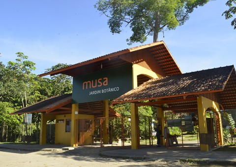 Museu da Amazônia abre oportunidade de estágio profissionalizante e voluntariado 