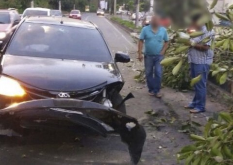 Carro arranca árvore e deixa um ferido em avenida de Manaus