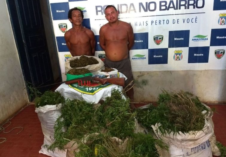 Dois homens são presos com plantação de maconha no Amazonas