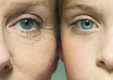 Adicione esses alimentos em sua dieta e retarde o envelhecimento 