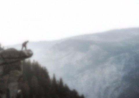 Homem é preso por matar amante da esposa e jogar corpo em precipício