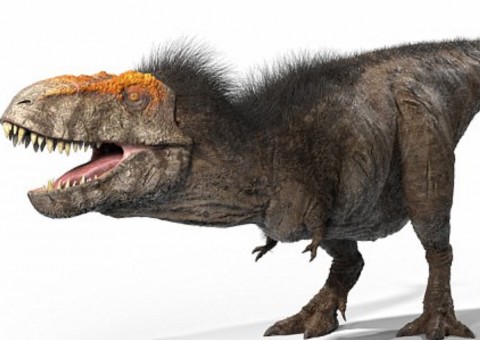 Cientistas revelam a verdadeira aparência do Tiranossauro Rex