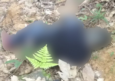 Corpo de colombiano é encontrado às margens de igarapé em Manaus