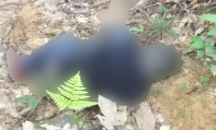 Corpo de colombiano é encontrado às margens de igarapé em Manaus