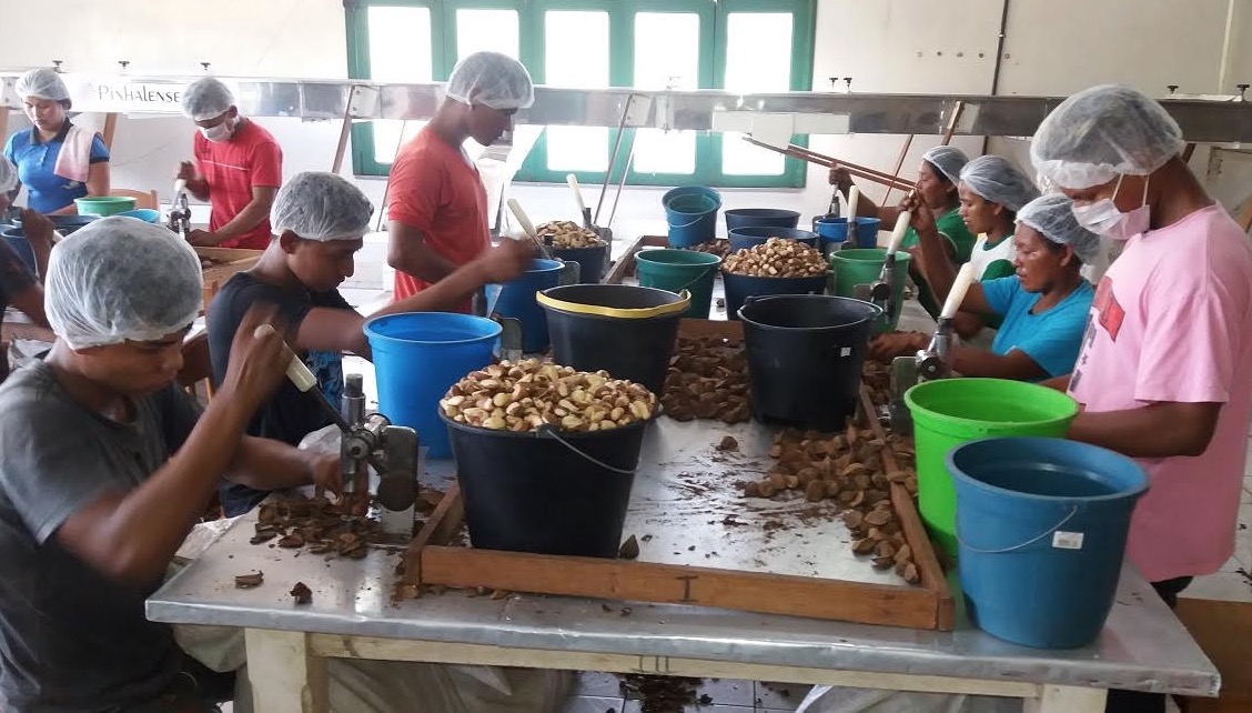 Com R$ 125 milhões para financiamentos, Afeam antecipa atendimento a empreendedores 