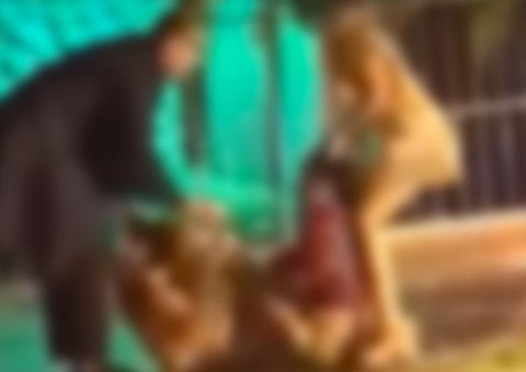 Vídeo flagra briga violenta de mulheres no meio da rua e bomba na internet