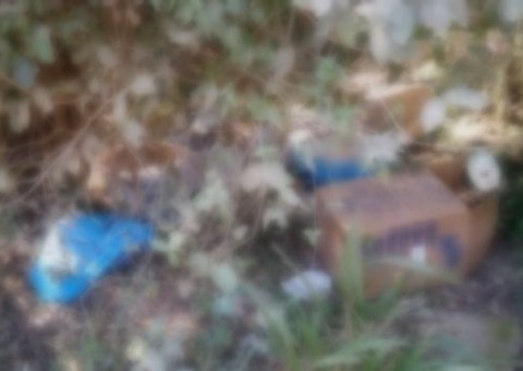 Grupo é preso suspeito de esquartejar crianças em ritual satânico por R$25 mil