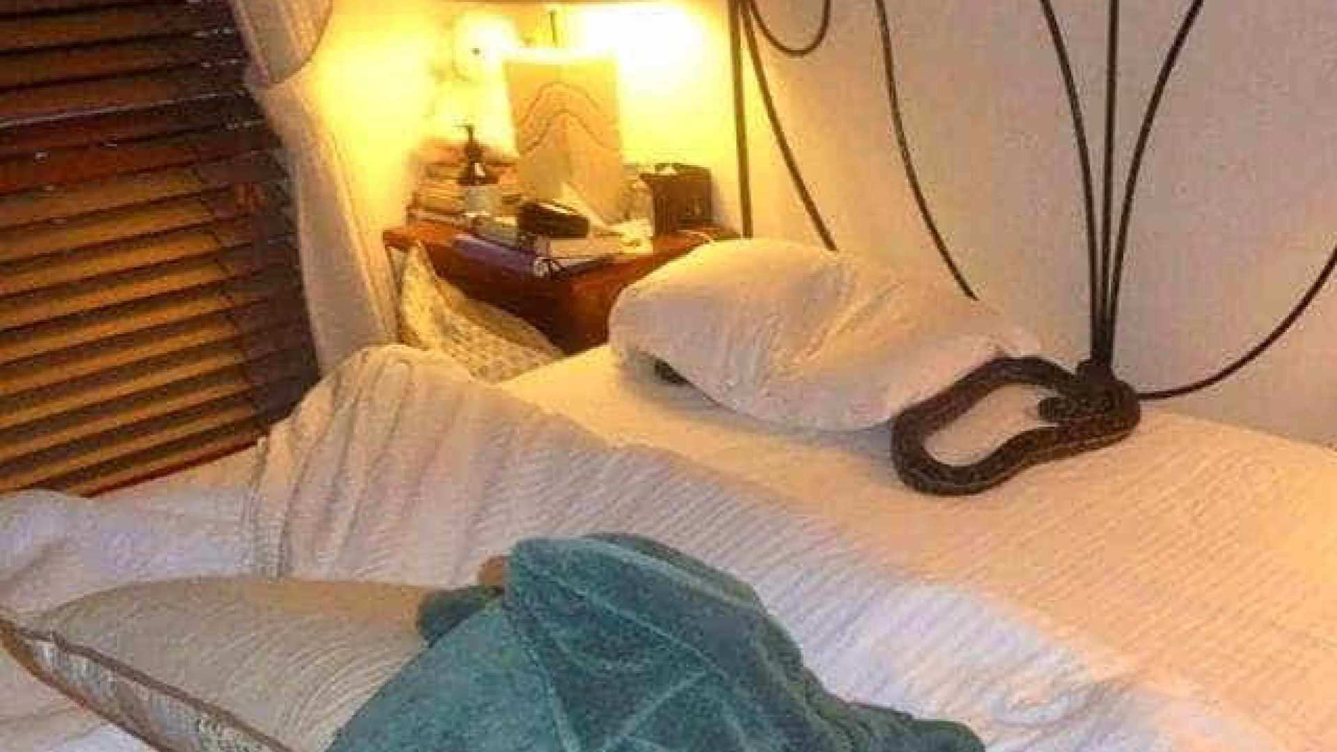 Mulher acorda e dá de cara com cobra gigante em seu travesseiro