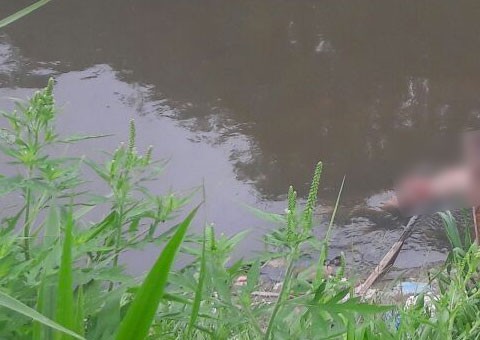 Sem cabeça, corpo é encontrado boiando em igarapé de Manaus