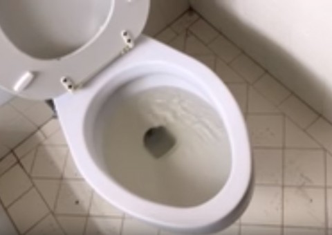 Homem se depara com cobra ao sentar em vaso sanitário