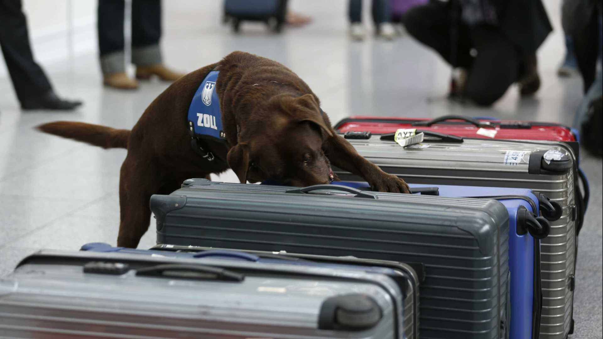 Brasileiro é preso com drogas escondidas em frascos de shampoo em aeroporto
