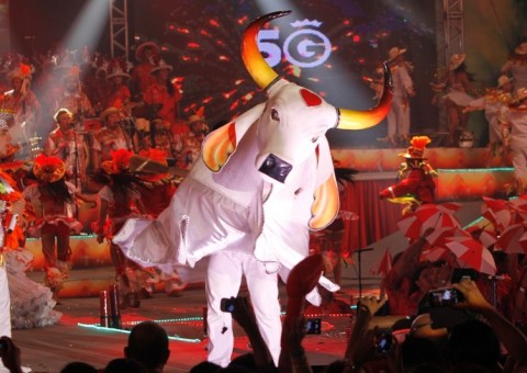 Boi Garantido inicia programação de gravação do CD 2018