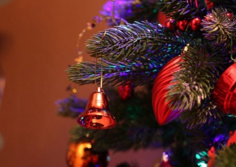 Mulher devolve árvore de Natal depois do ano-novo e pede reembolso porque planta estava morta