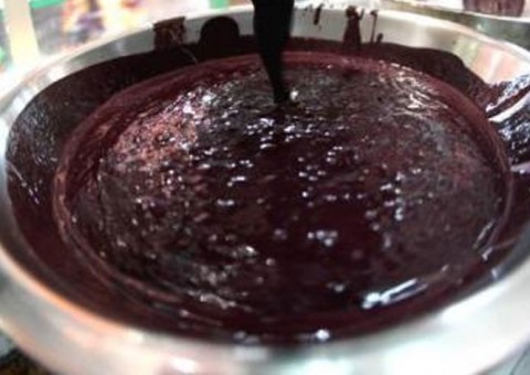 FVS confirma que açaí contaminado infectou amazonenses com doença de Chagas 
