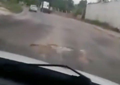 Prefeitura vai recuperar avenida usada para provas de direção do Detran