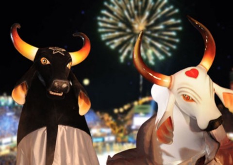 Começam as pré-vendas do Festival Folclórico de Parintins