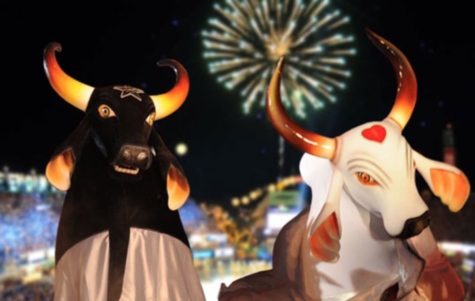 Começam as pré-vendas do Festival Folclórico de Parintins