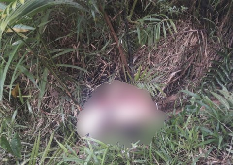 Após sequestro, jovem é torturado e executado a tiros em Manaus