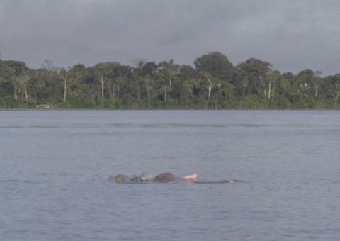 Acidente com embarcação deixa crianças desaparecidas no rio Amazonas