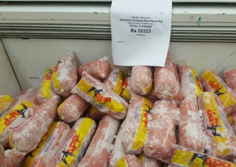 Venezuelanos já comem comida de cachorro, diz ONG