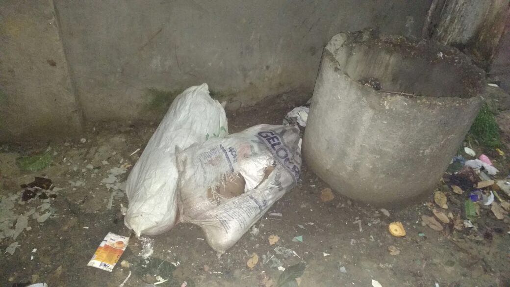 Mulher é encontrada esquartejada dentro de sacos plásticos em rua de Manaus