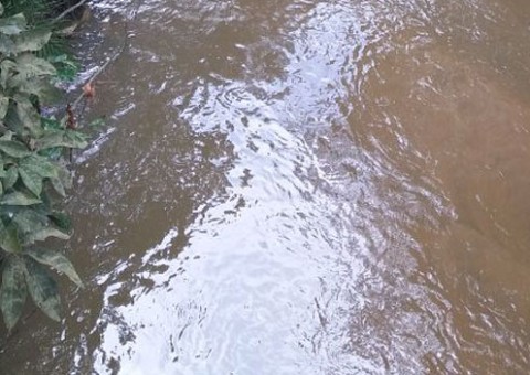 Populares encontram corpo de homem boiando em igarapé de Manaus