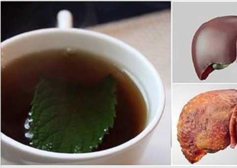 Bebida para você desintoxicar totalmente fígado em apenas 3 noites 