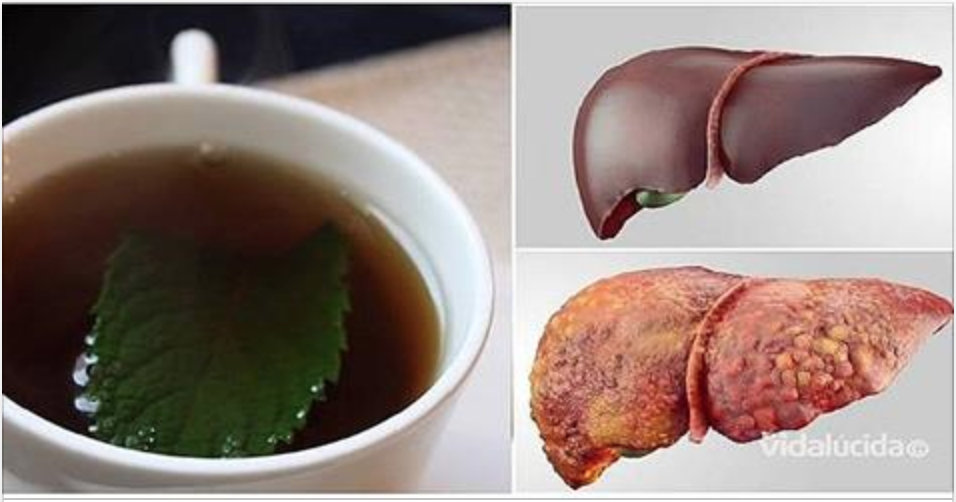 Bebida para você desintoxicar totalmente fígado em apenas 3 noites 
