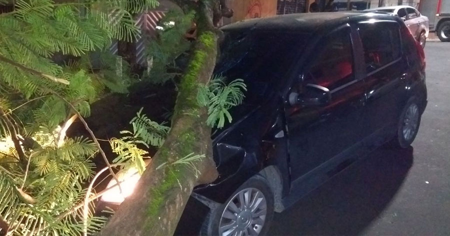 Árvore tomba e cai em cima de carro que passava por rua em Manaus