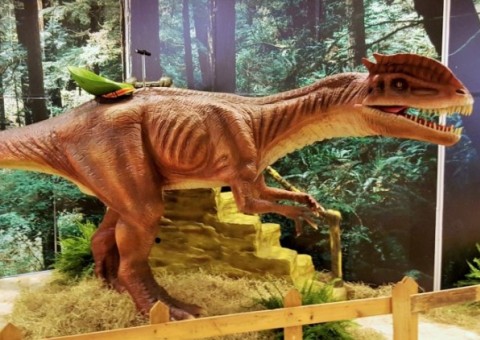 Exposição Mundo Jurássico com réplicas de até 13 metros faz sucesso em Manaus