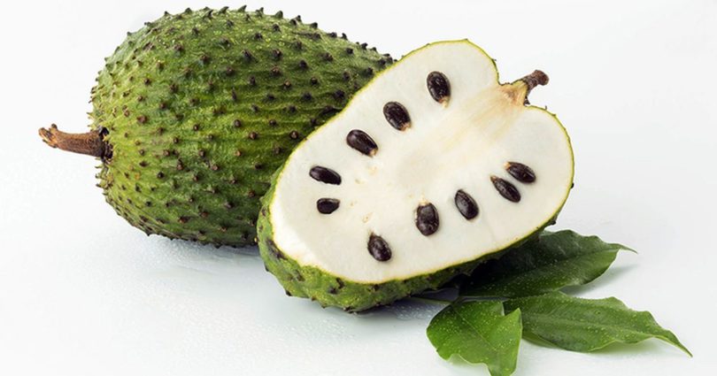 Graviola protege o coração e previne câncer. Conheça os benefícios 