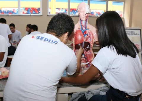 Sem filas, Rede pública de educação registra mais de 160 mil solicitações de matrículas