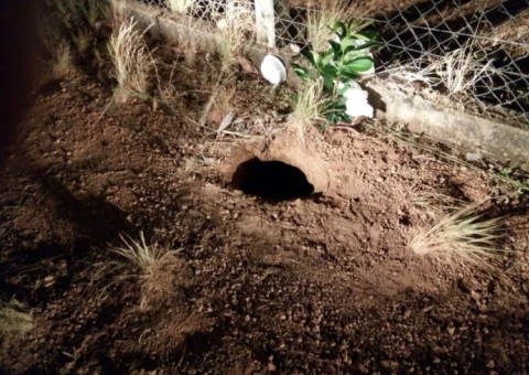 Líderes de facção e mais de 80 detentos conseguem escapar de presídio