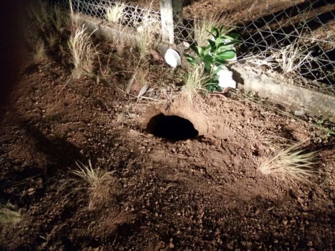 Líderes de facção e mais de 80 detentos conseguem escapar de presídio