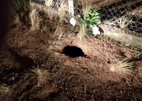 Treze detentos são recapturados após fuga de 92 presos de penitenciária em RR