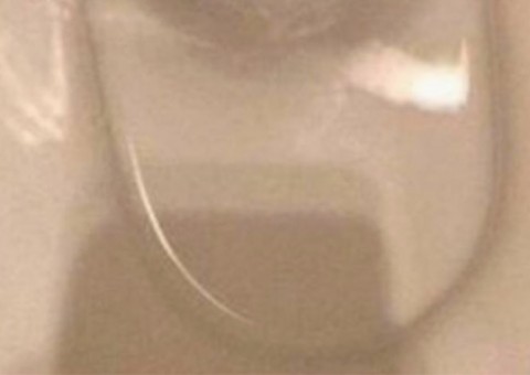 Detalhe perturbador aparece em vaso sanitário e intriga internautas