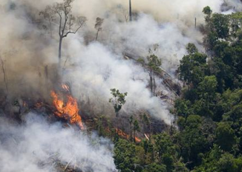 Pesquisadores comprovam que fumaça das queimadas da Amazônia pode causar câncer